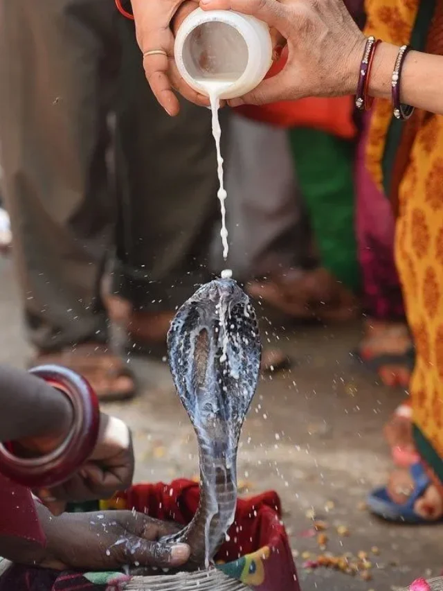 Nag Panchami 2024: दुर्लभ संयोग में नाग पंचमी आज, जानें शुभ मुहूर्त, पूजा